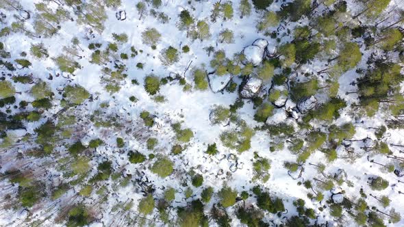 Rocky Primeval Forest   Top Down Drone Shot