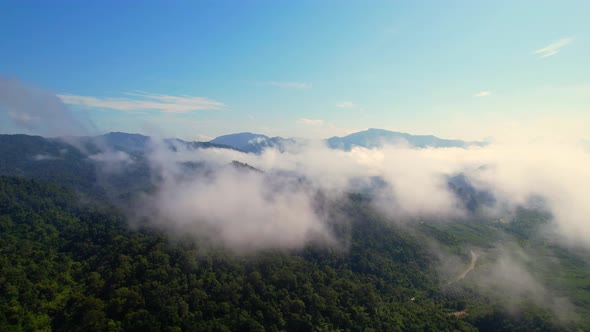 4K aerial view from a drone flying over the valley, fog in the morning