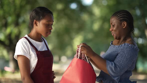 Side View Joyful Plussize Woman Bragging New Dress to Slim Excited Friend Standing in Sunny Park