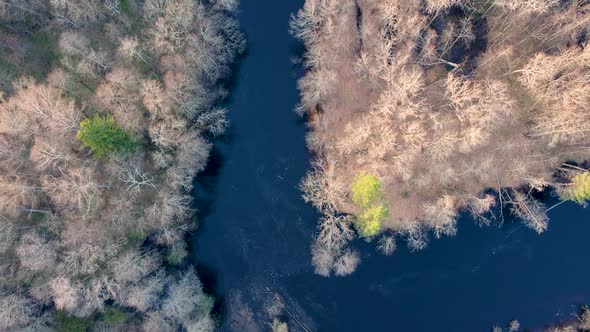 Aerial View of the River Between the Pines