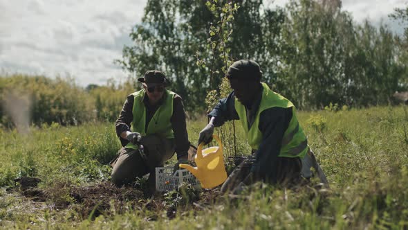 Men Planting Flowers Outdoors