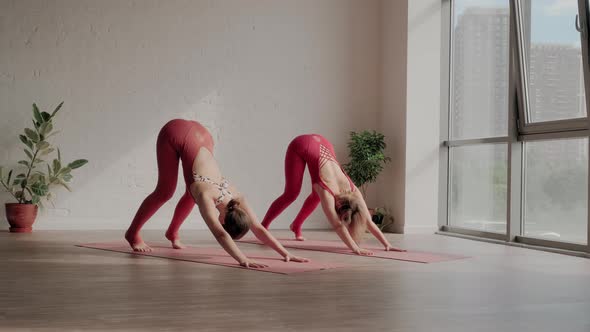 Woman Yoga Teacher Helps Student to Do the Eka Pada Adho Mukha Svanasana Correctly