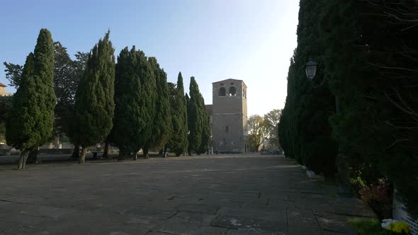 Bell tower and trees