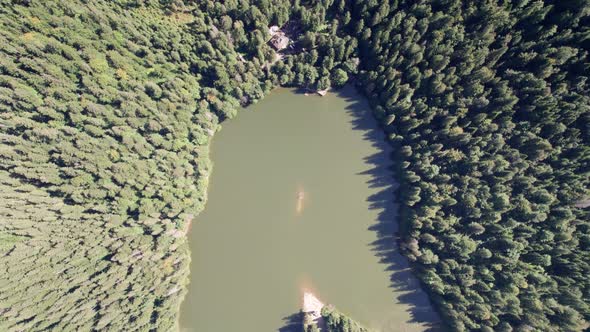 Aerial View of Synevyr Lake in Carpathians Ukraine Europe