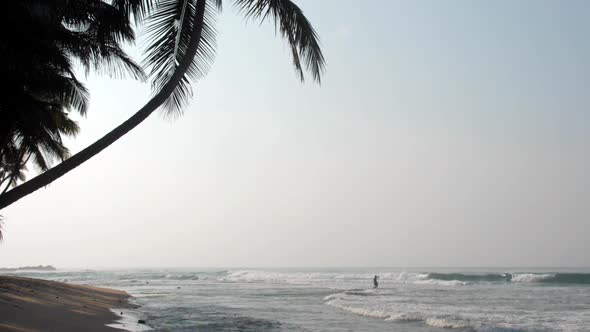 Tropical Shore By Waving Ocean Near Dark Palms Silhouette