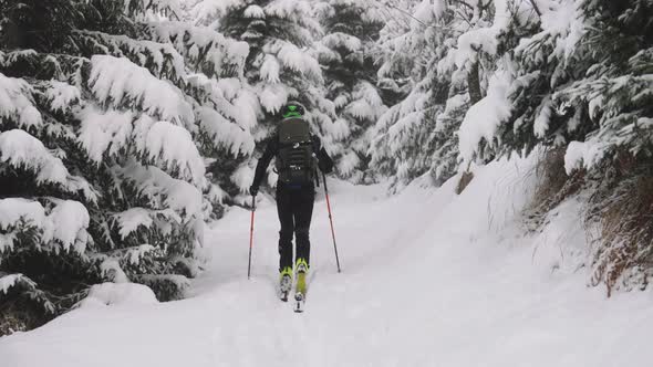 Man Ski Touring Through Snow Covered Forest