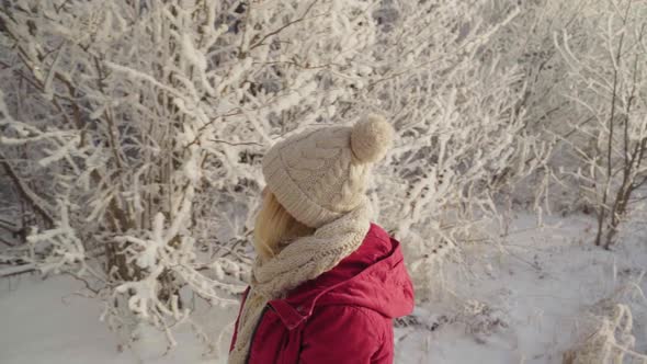 A Woman Walks Through a Winter Forest with Snow Covered Trees on a Beautiful Frosty Morning