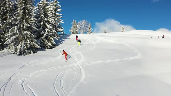 Aerial view of people skiing among the pine trees in Switzerland.