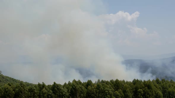 Bushfire Smoke Above Forest and Hill in Mountains. Full Frame Slow Motion