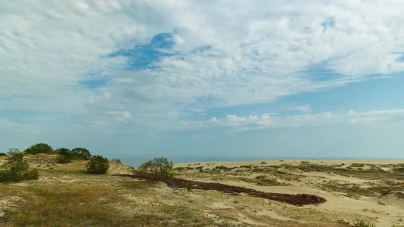 The dunes of the Curonian Spit