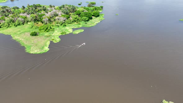 Stunning landscape of Amazon Forest at Amazonas State Brazil.