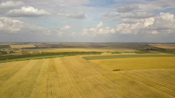 Aerial rural landscape with yellow patched agriculture fields and blue sky with white clouds.