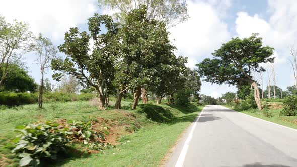 Village road in India, Trees and grass on both sides of road