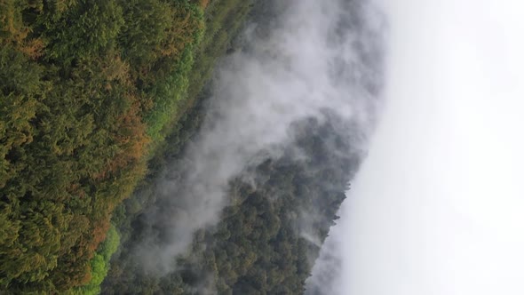 Vertical Video of Fog in the Mountains