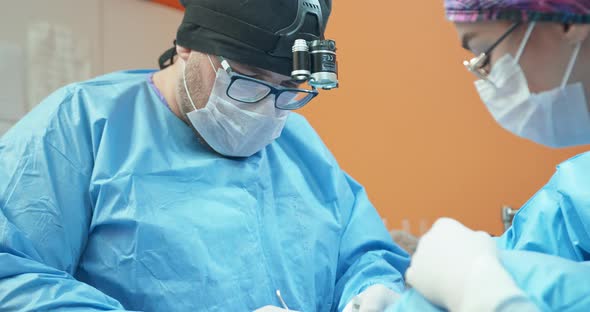 Face of Male Veterinarian in Glasses White Gloves Cap and in Surgical Outfit While He is Operating