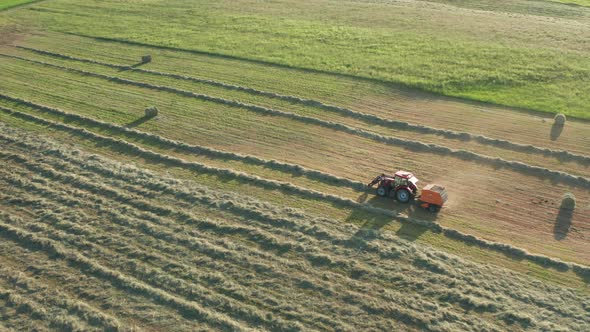 Tractor On The Field