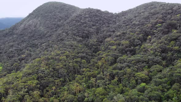 drone footage in dense green brazilian rainforest