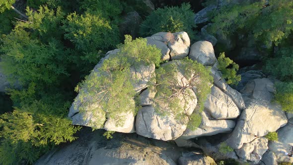 Aerial View of Bright Landscape with Green Forest Trees and Big Rocky Boulders Between Dense Woods