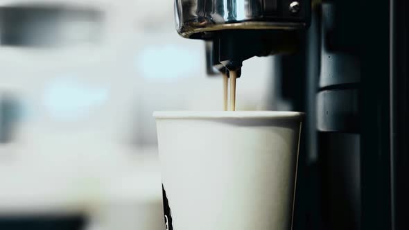 Bartender Preparing Coffee 1