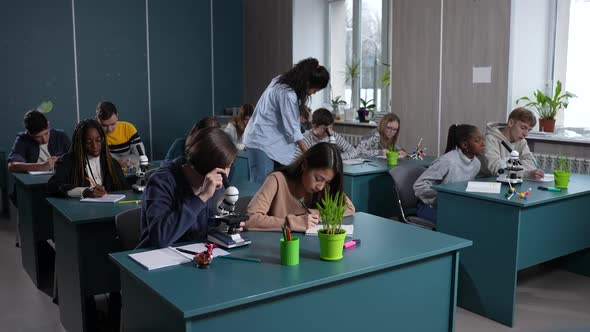 Woman Teacher Watching Work of Pupils in Classroom