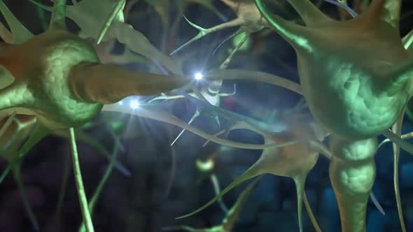 The human brain Neuron Neurons in action. electrical impulses