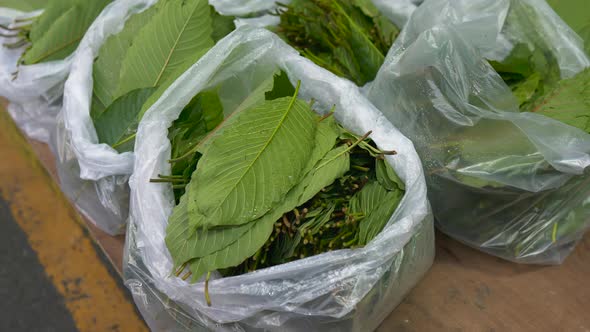 Fresh Kratom Leaves in plastic bags selling on Thailand street market