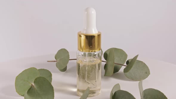 Eucalyptus Oil with Leaves on a White Background