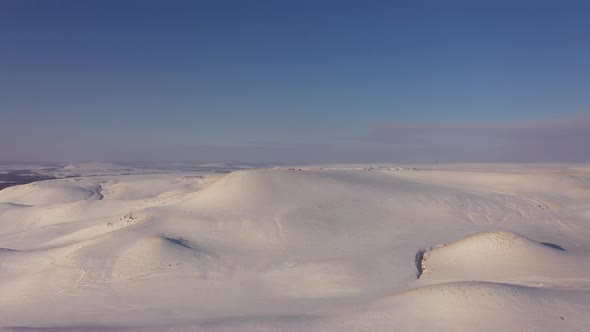 Aerial View of a Herd of Horses Grazing in a Field in Winter