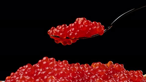 red chum salmon caviar in a metal spoon on a black background