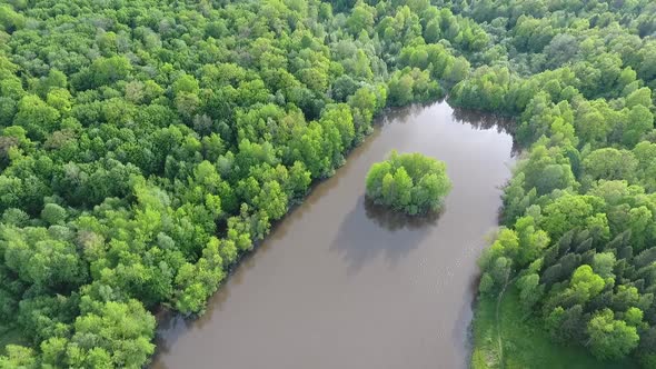 View From the Drone