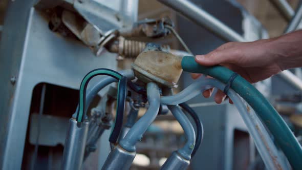 Farmworker Holding Milking System Checking Setup Process in Robotic Farm Closeup