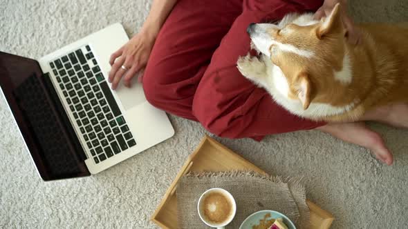 Young Woman Working with Laptop and Touching Dog on Floor at Home Room Avki