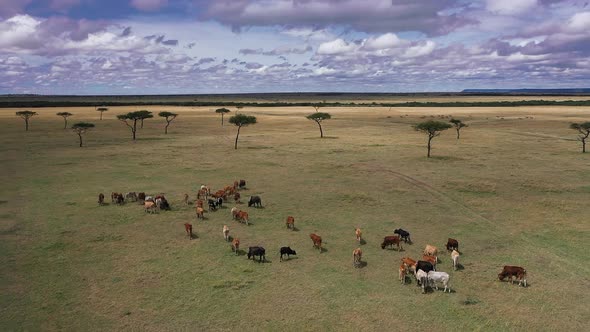 South Africa Wild Nature