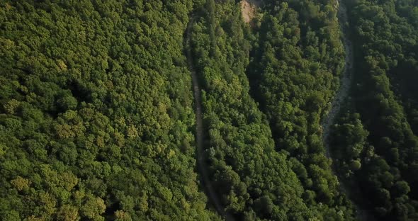 Aerial Top View of Caucasian Mountain Forest, Texture of Forest View From Above.