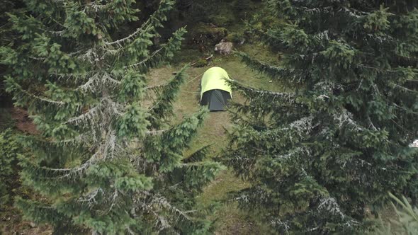 Closeup Camp at Pine Tree Aerial