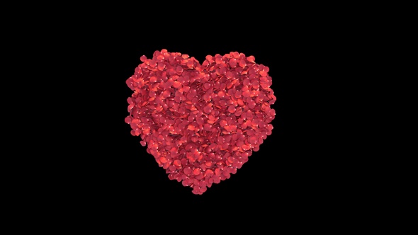 Heart Shape Rose Petals Transition 4 K