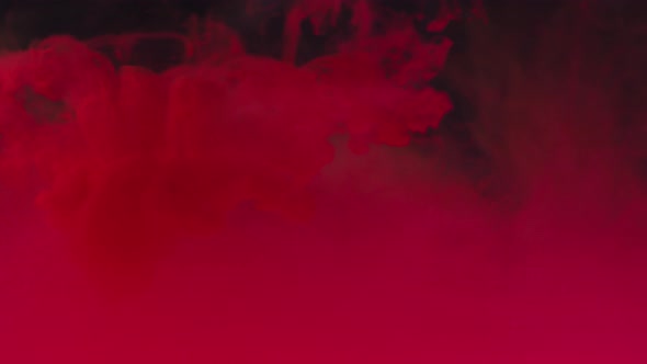 Creating Abstract Art with Paint in Water alt