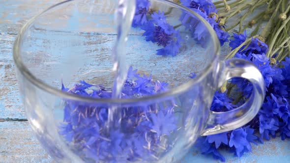 Brewing a tisanes from knapweeds flowers in a transparent cup.