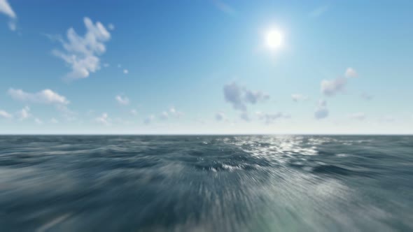 Sunny Weather In The Sea