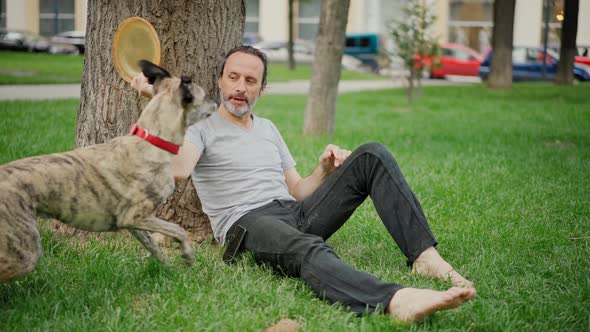 A Handsome Man Playing a Flying Disc with His Smart Grey Dog