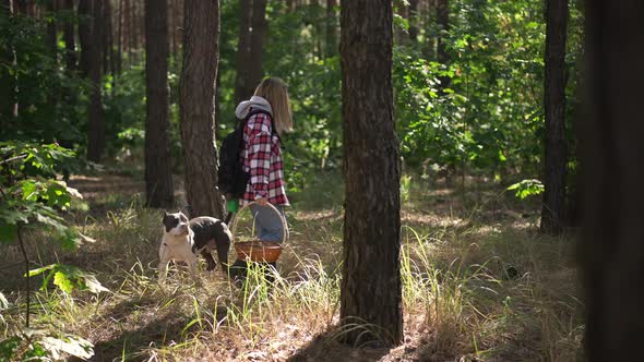 Side View Young Woman Strolling with Dog in Forest Searching Mushrooms with Trees Passing at Front