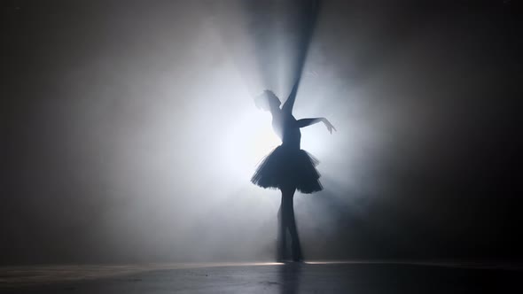 Professional ballerina dancing ballet in spotlights smoke on big stage