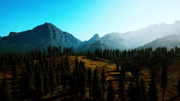 Landscape View of the Mountain Range with Trees in the Fall