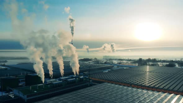 Industrial Factory with Plants in Industrial Area