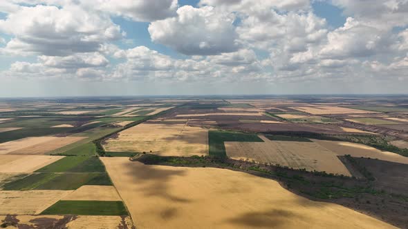 Flight Over the Fields with Burned Crops in the Kherson Region