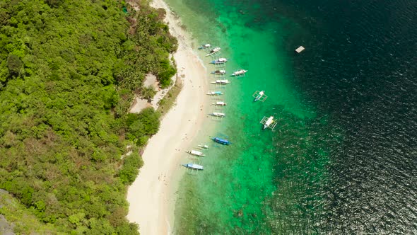 Tropical Island with Sandy Beach