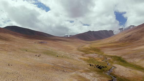 Overhead View of Arid Plains in Spectacular Tajikistan River Scenery and Landscape