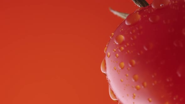 Macro Shot of Ripe Red Tomato in Drops of Water on Red Studio Background