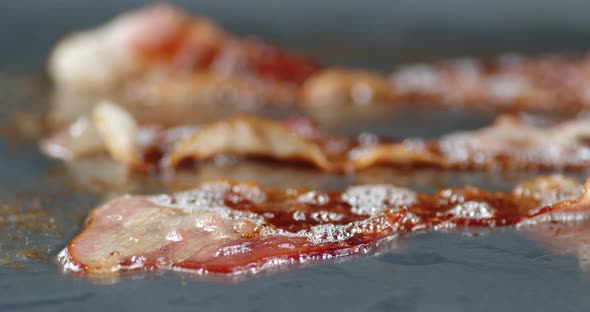 The Fried Pieces of Bacon Slowly Rotate