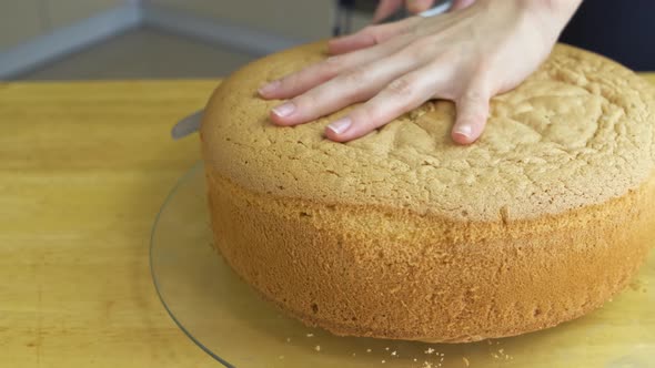 Close up of woman hands cutting baked biscuit for making sweet cake.